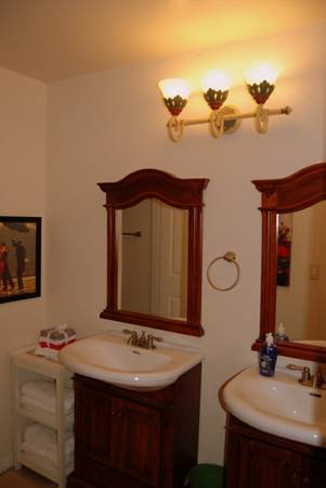 Furnished Apartments - The Master Bathroom